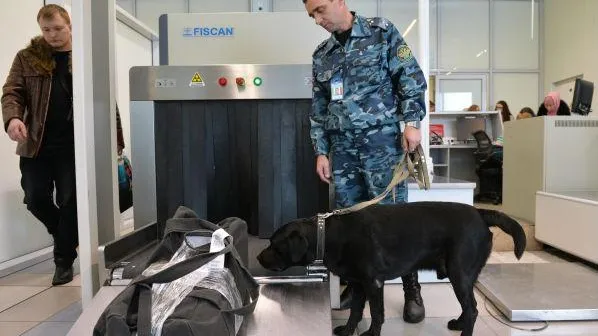 Александр Кряжев / РИА Новости