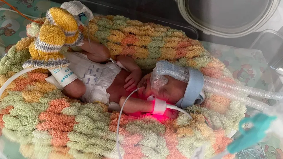 Фото: МОЦОМД