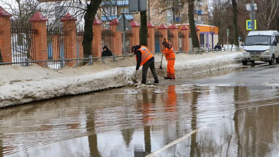 Ирина Матвеева