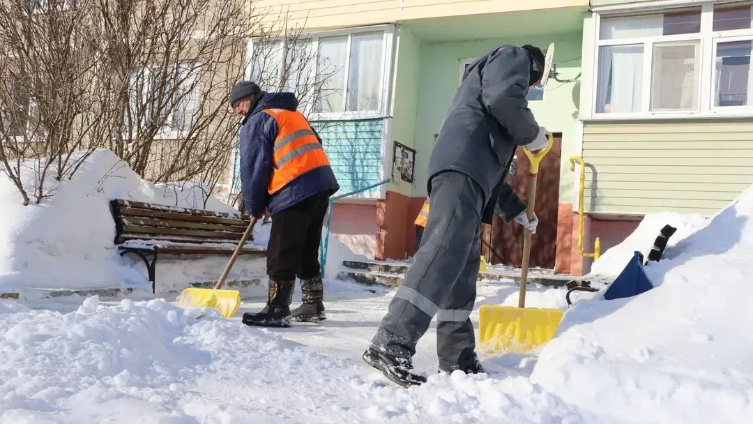 Ирина Матвеева