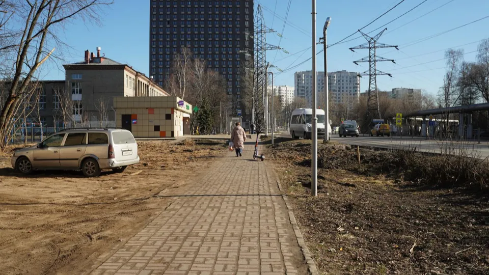 Фото: Дарья Антифьева