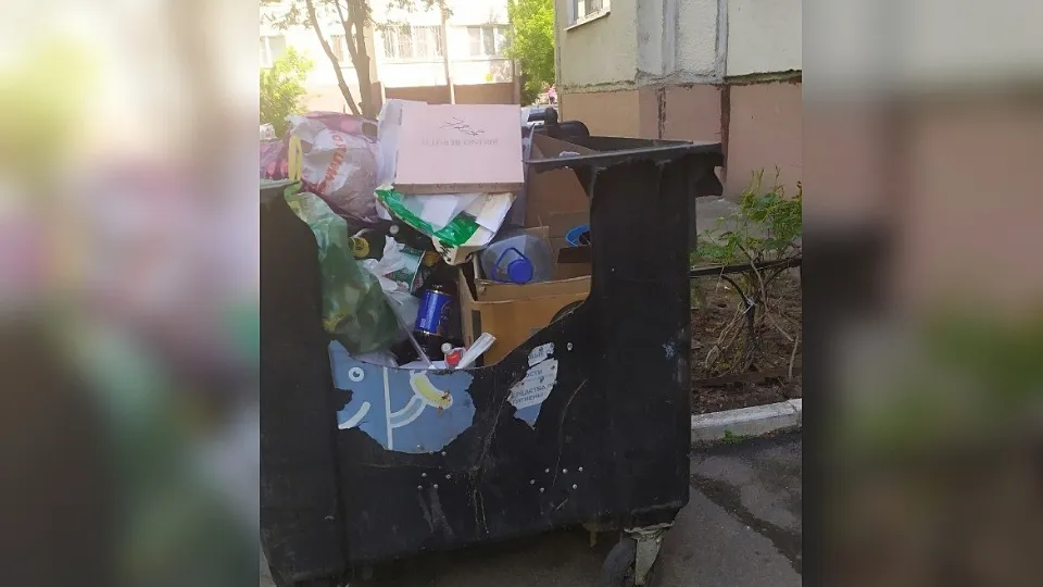 Фото: соцсети