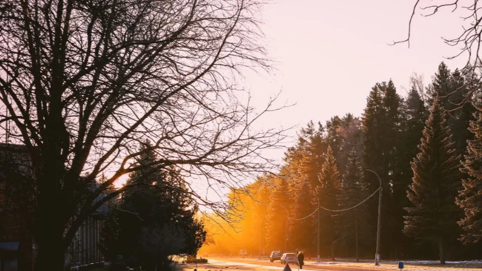 Фото: пресс-служба ФИЦ ПХФ и МХ РАН/Анастасия Арбузова