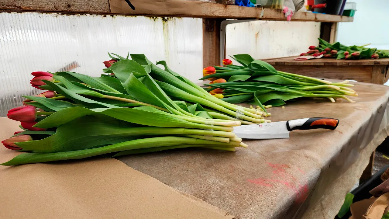 Станислав Орлов