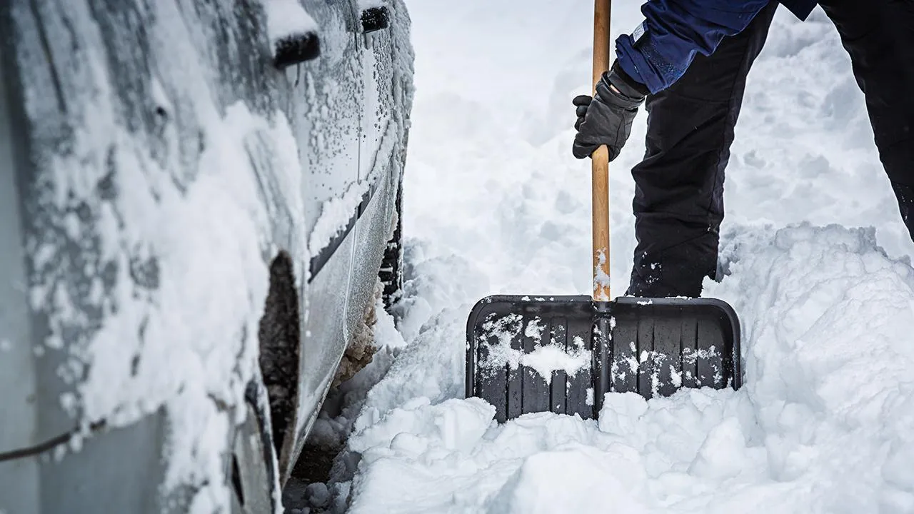 istockphoto.com/mbbirdy