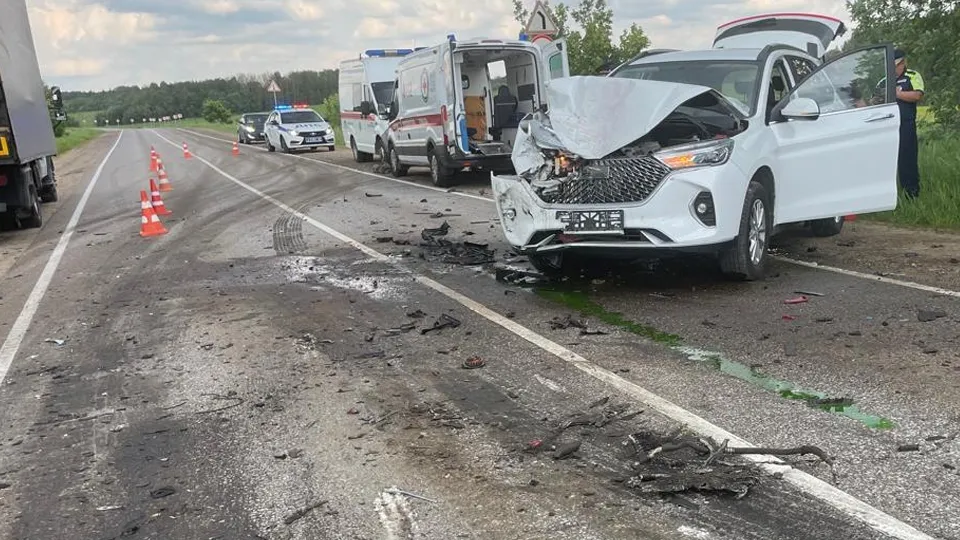 Фото: пресс-служба ГУ МВД России по Московской области