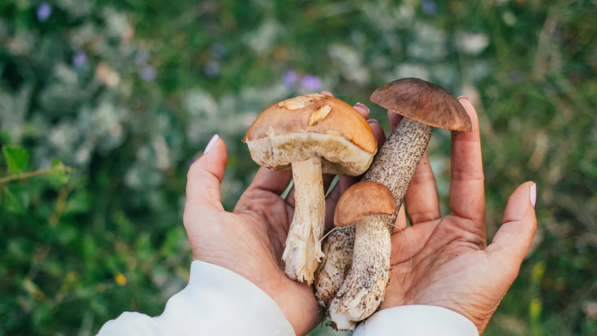 Фото: freepik.com