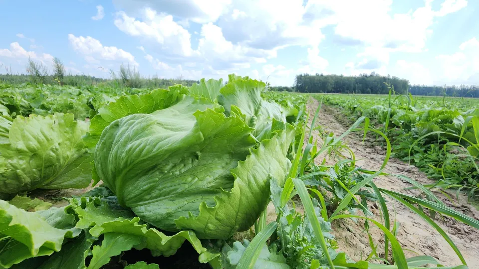 Фото: Юлия Андросова