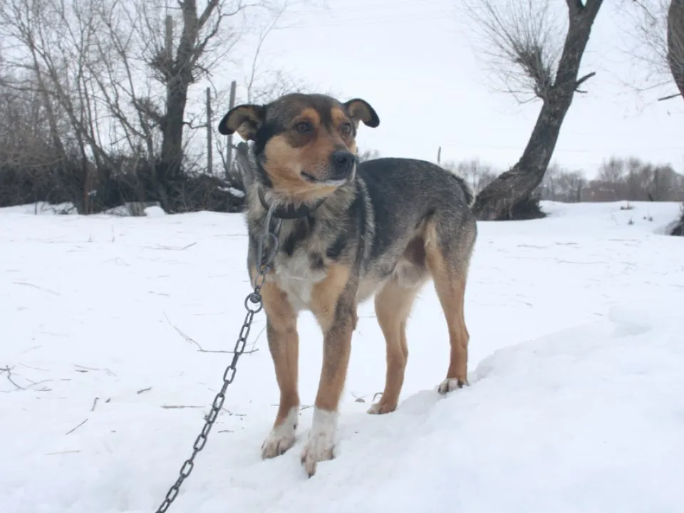 Фото: REGIONS/Дарина Левкина