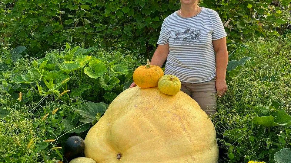 Фото: vk.com/Наталья Смирнова