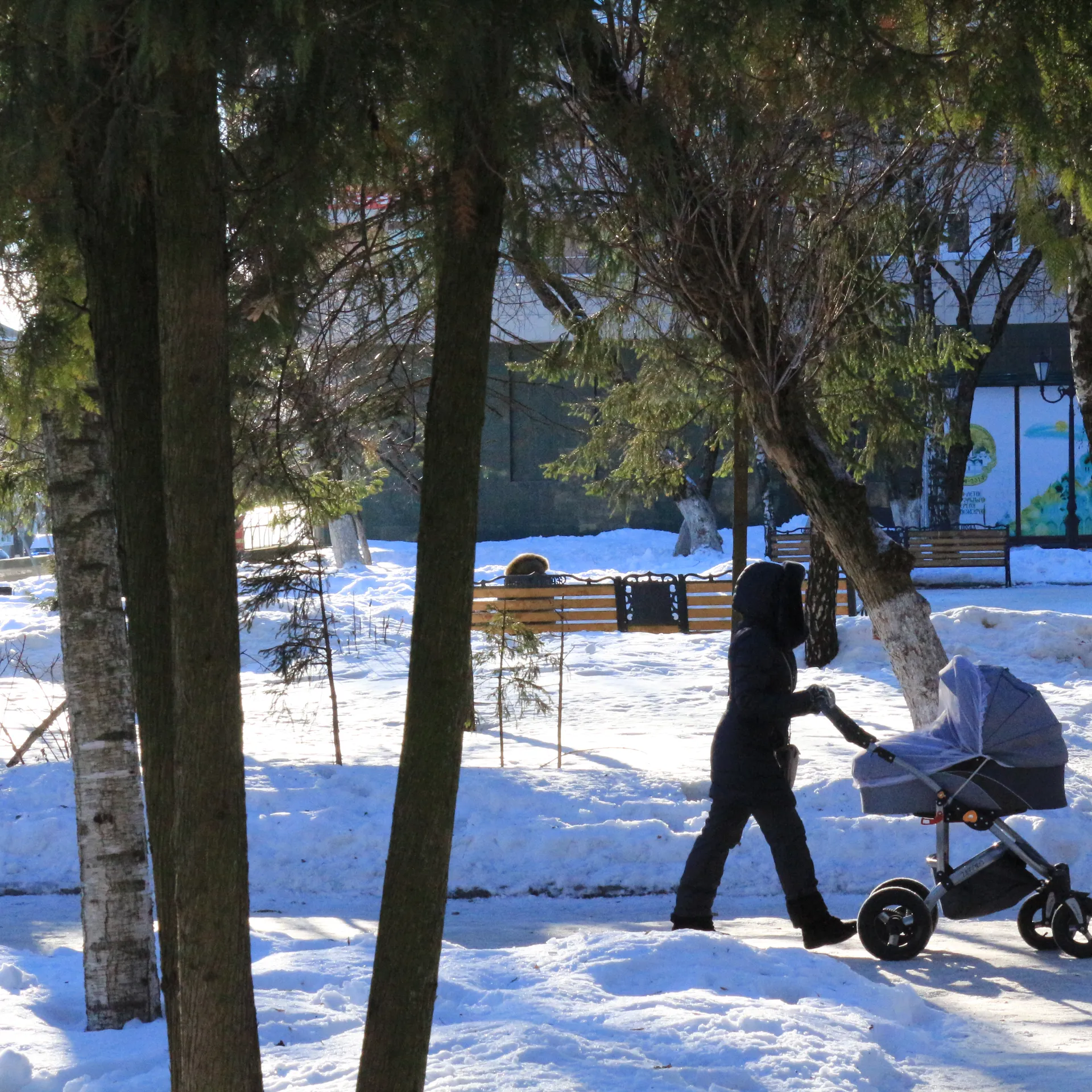 Женщина гуляет с коляской в Сергиевом Посаде