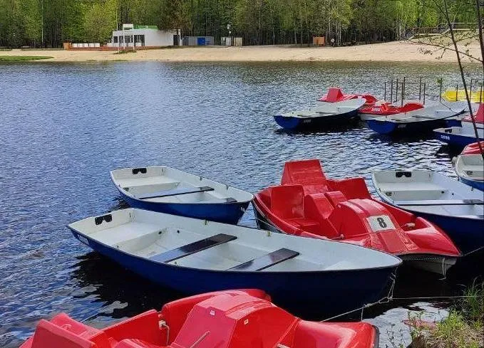 Фото: Нина Басистая