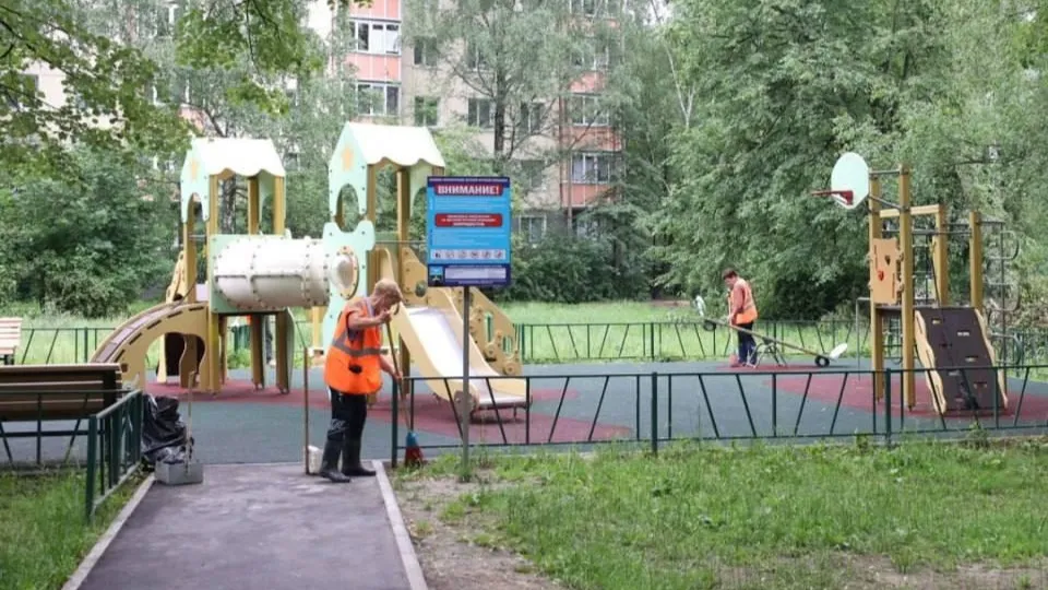 Фото: пресс-служба Администрации г.о. Чехов