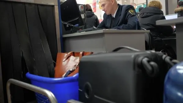 Пассажира из Италии поймали в Домодедове с партией роскошных шуб 