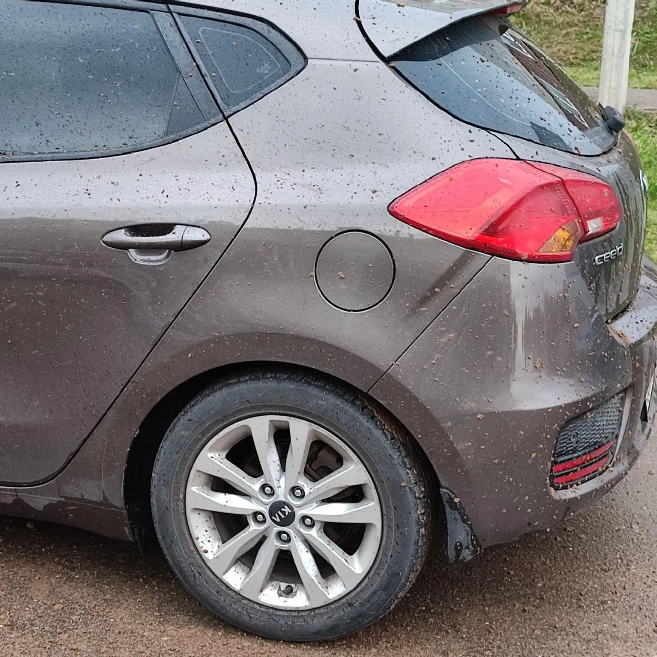 Фото: Истра Online / Telegram