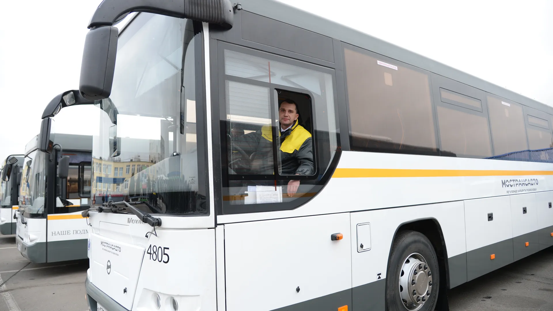 Фото: Нина Соколова