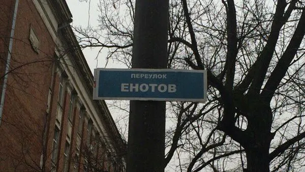 Анна Мушкарева