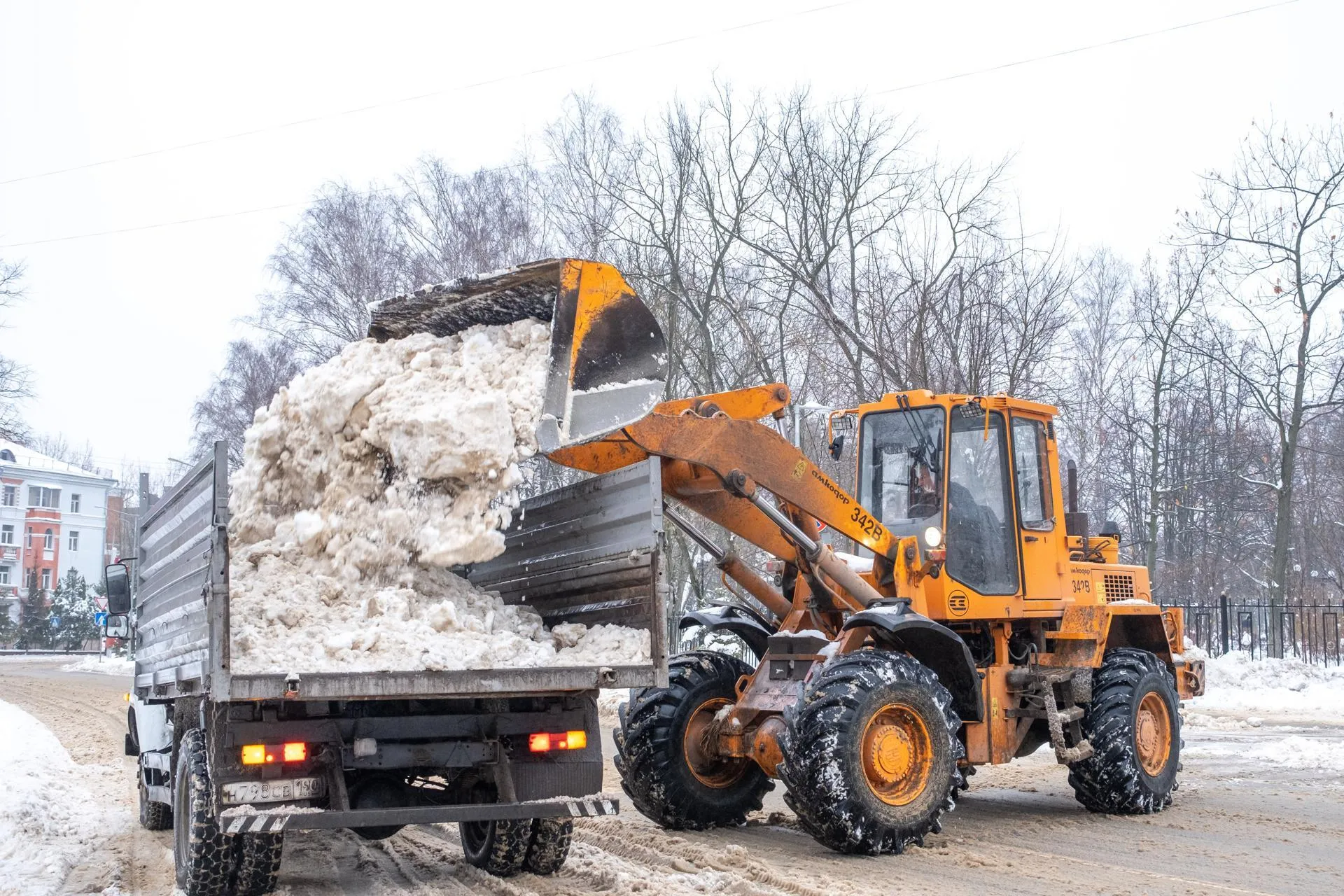 Фото: Александр Щербаков