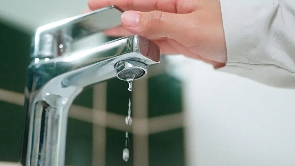 Фото: istockphoto.com/pocketlight