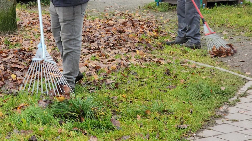 Фото: МедиаБанк Подмосковья/Юлия Смагринская