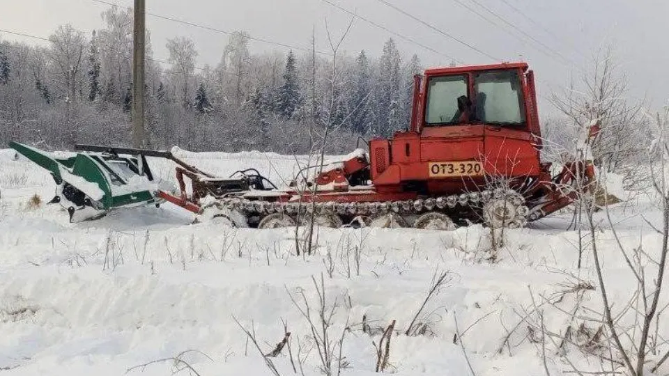 Фото: Комитет лесного хозяйства Московской области