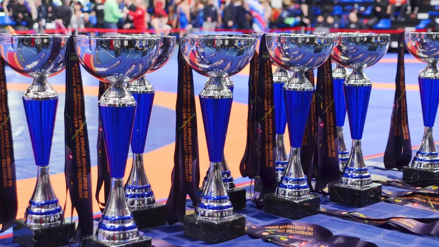 Министерство физической культуры и спорта МО