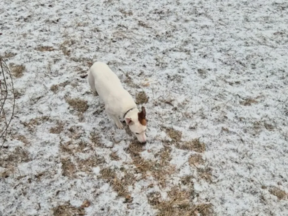 Фото: vk.com/Подслушано Электрогорск&nbsp;