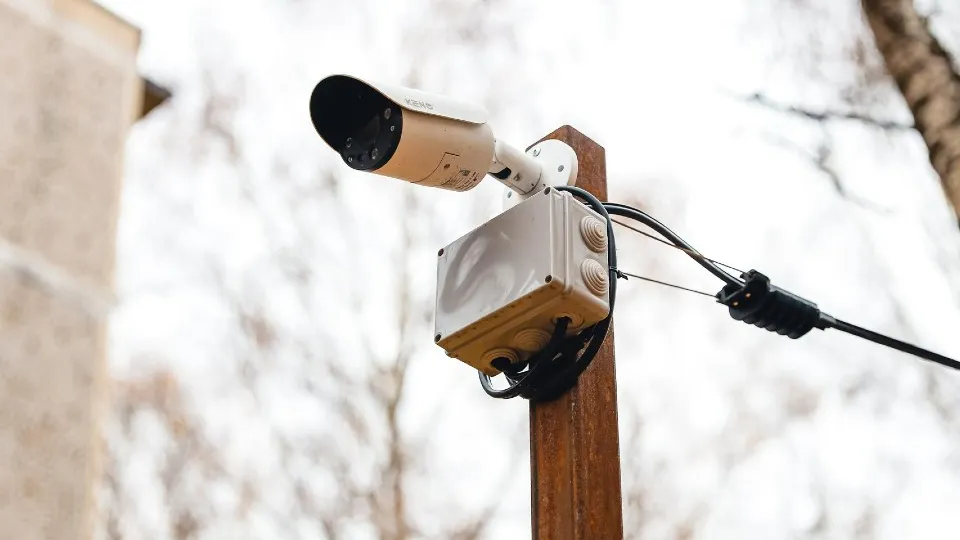 Фото: пресс-служба администрации г.о. Химки