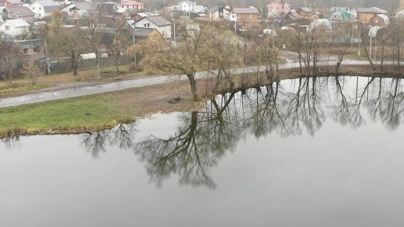 В подмосковных Бронницах расчистили Каменский пруд