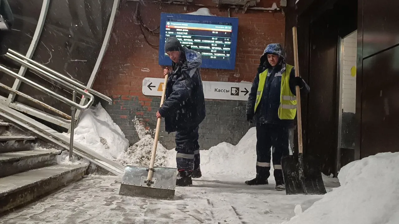 МедиаБанк Подмосковья/Екатерина Федосеева