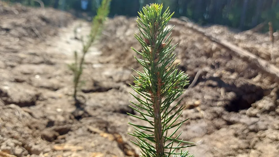 Фото: МедиаБанк Подмосковья/Наталья Акуленок