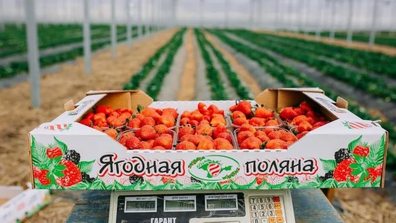 Минсельхоз МО