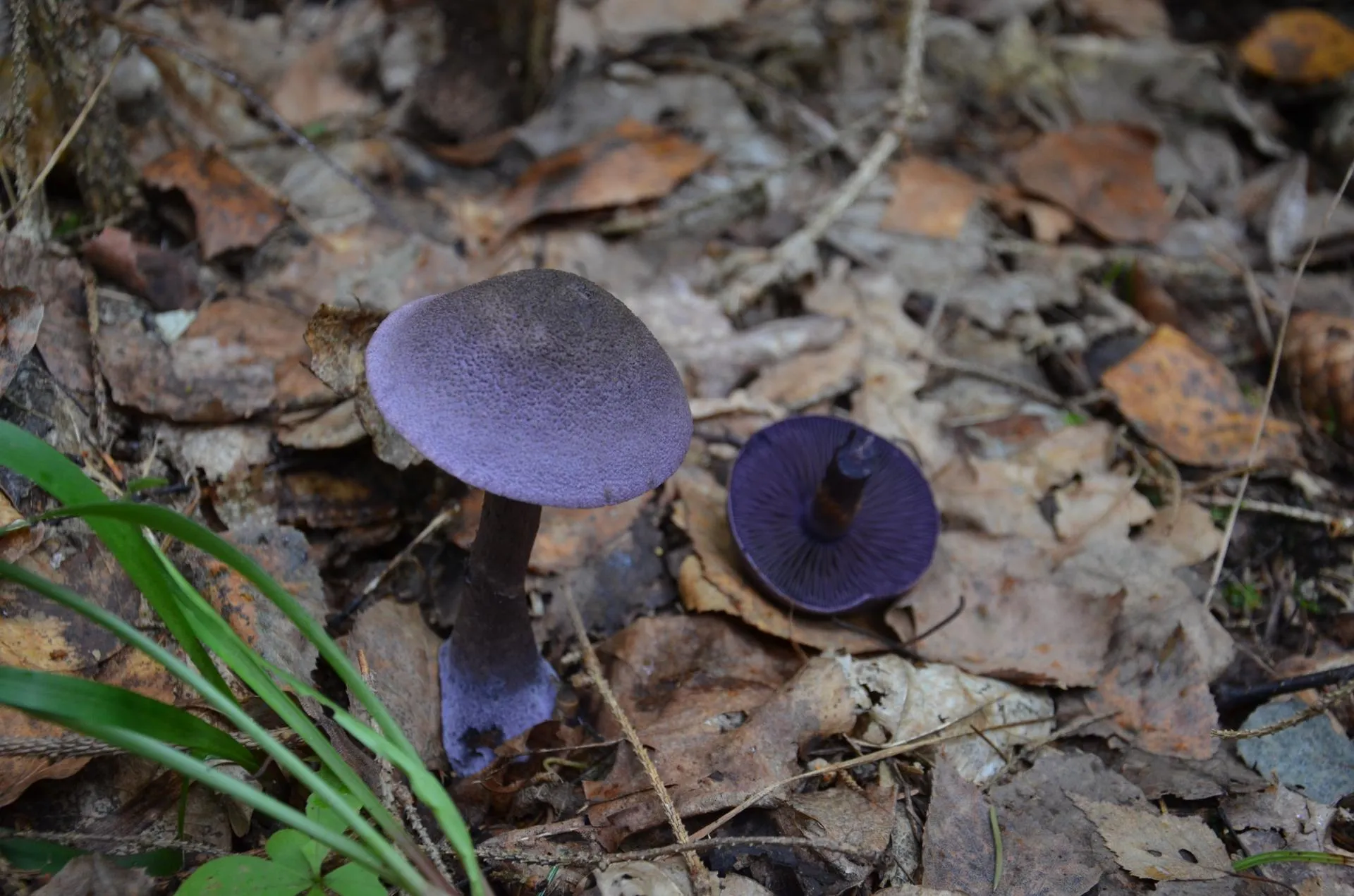 Министерство экологии и природопользования Московской области