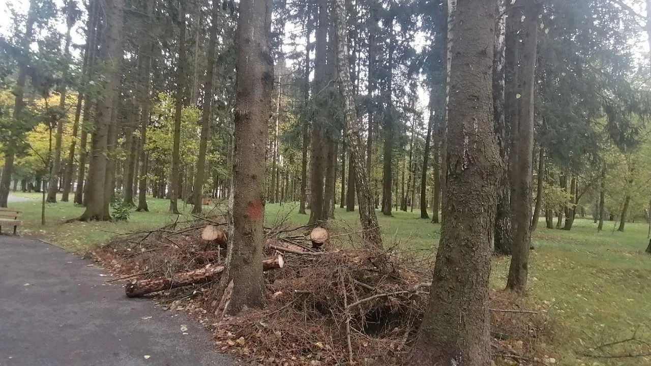 фото: Telegram-канал "КраснознаменскLIVE новости"