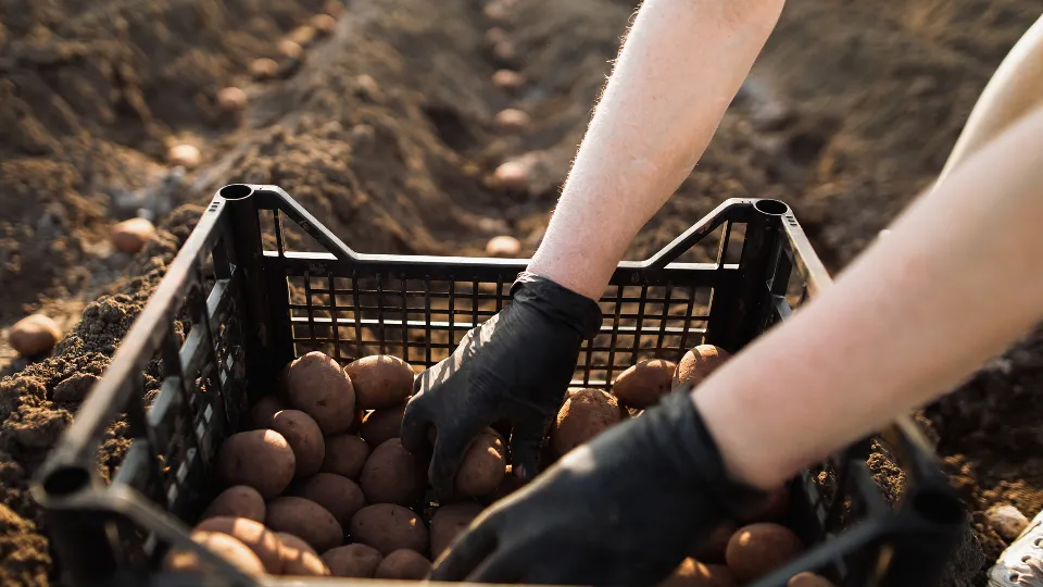 Фото: istockphoto.com