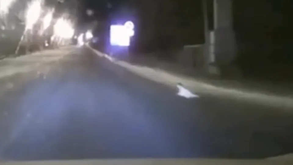 Кадр с видеорегистратора