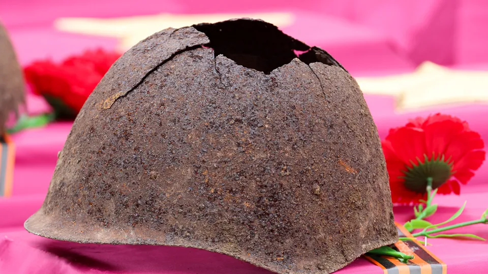 Фото: ТАСС/Александр Полегенько