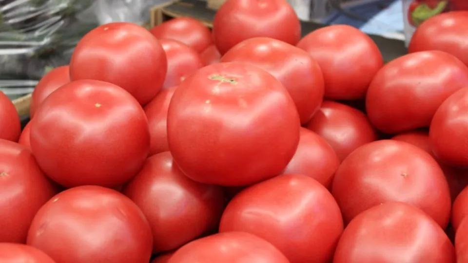 Фото: REGIONS/Анастасия Широкая