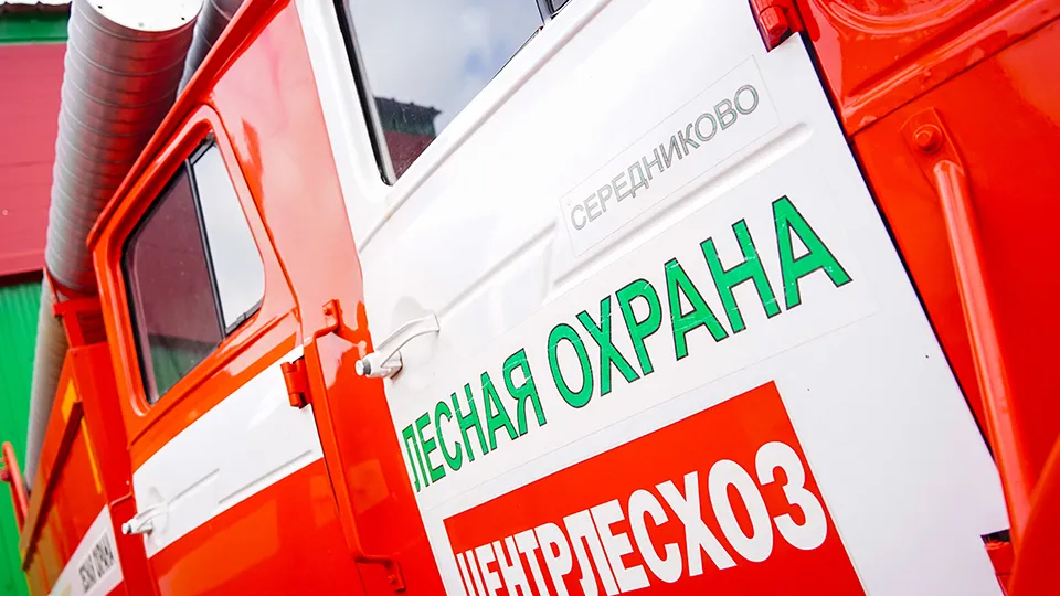 Фото: МедиаБанк Подмосковья/Анастасия Хренкова