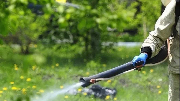 Фото: vk.com/МАУК «ПАРКИ СЕРПУХОВА»