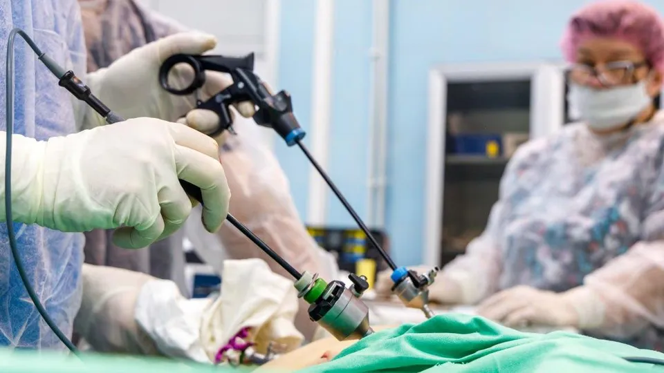 Фото: пресс-служба администрации Люберец