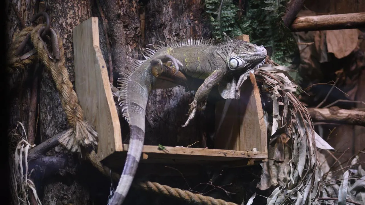 медиасток.рф