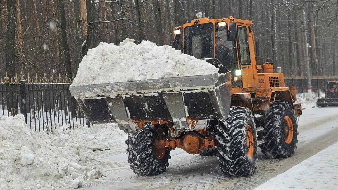 МедиаБанк Подмосковья/Ольга Вельшикаева