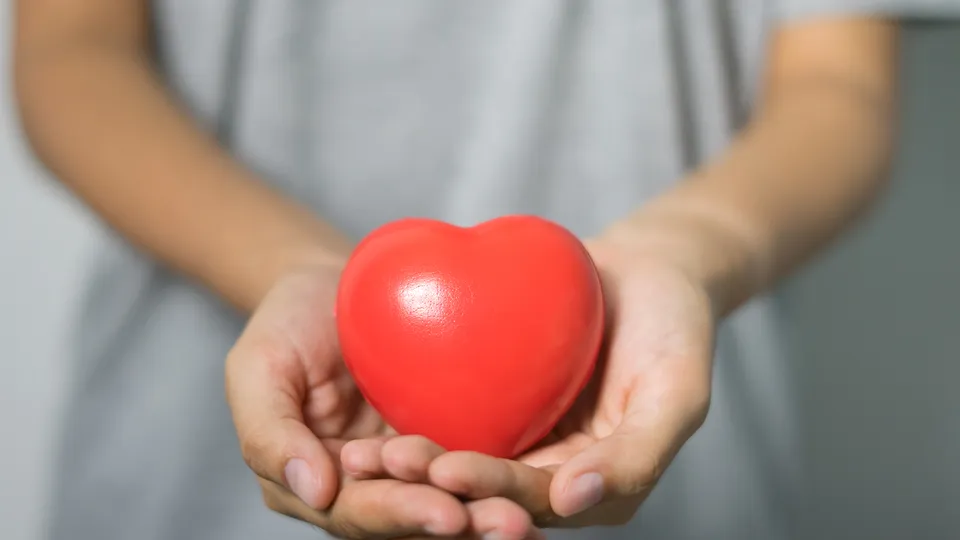 Фото: pxhere.com