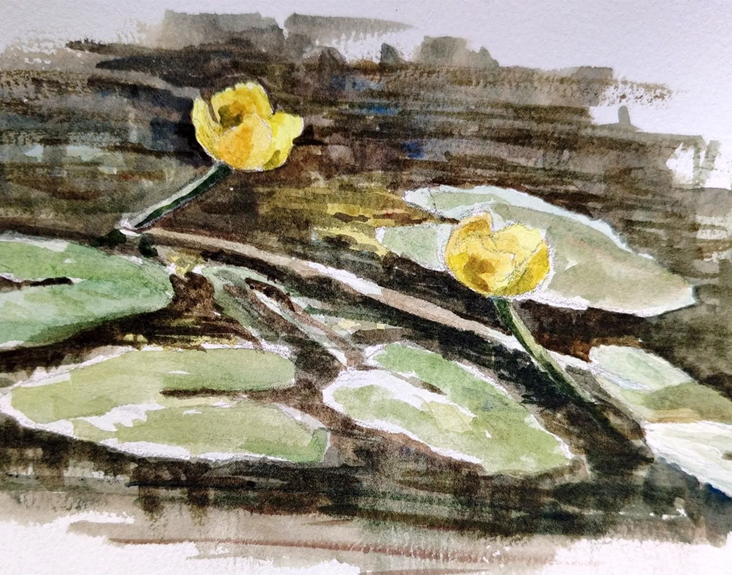 Фото: Елена Прозорова