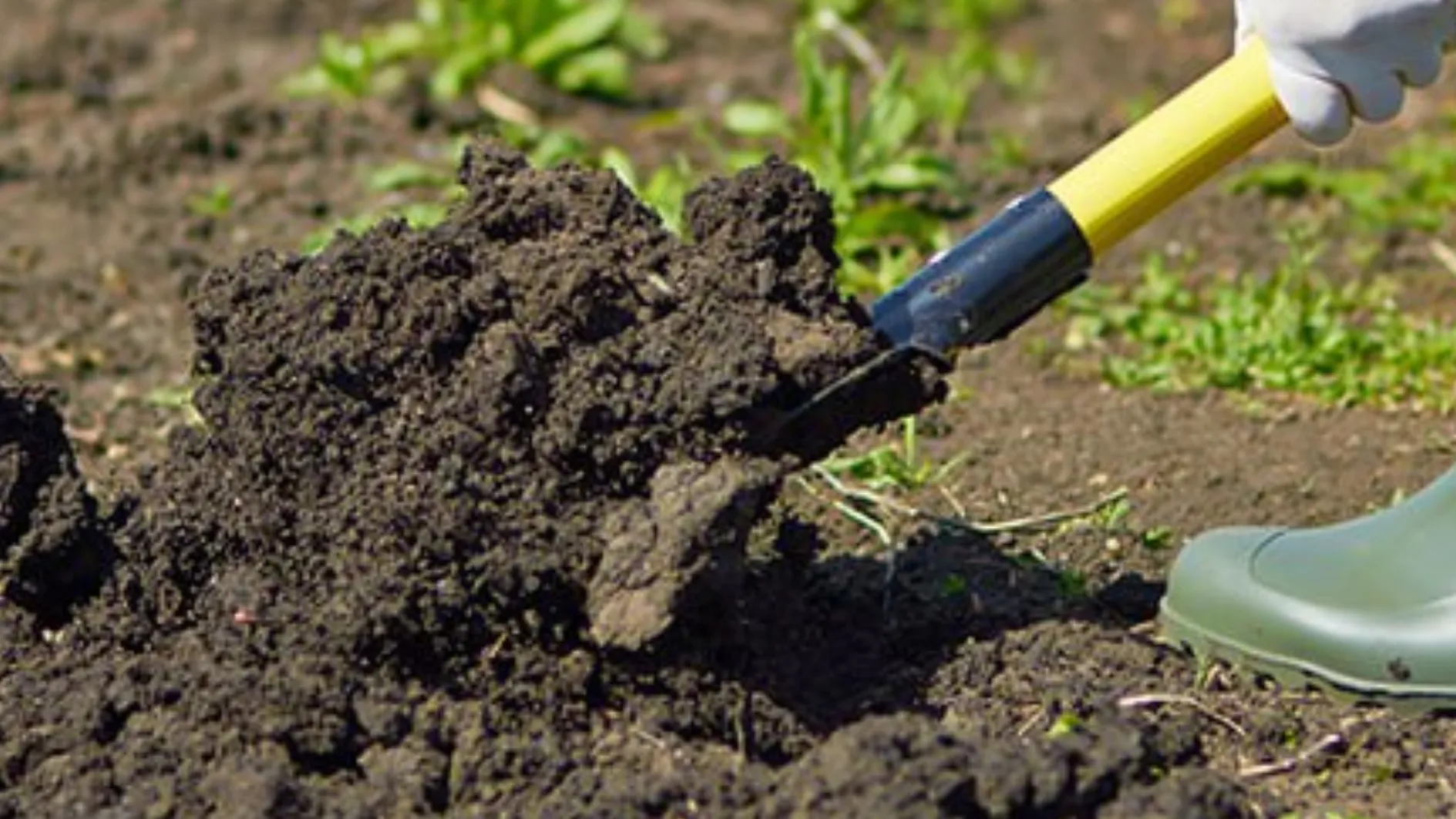 Фото: istockphoto.com/Pressmaster