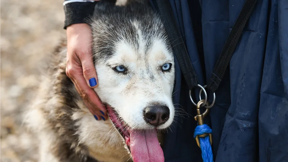 Фото: медиасток.рф