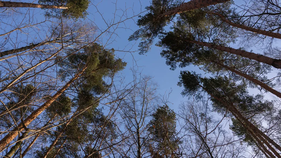 Фото: медиасток.рф