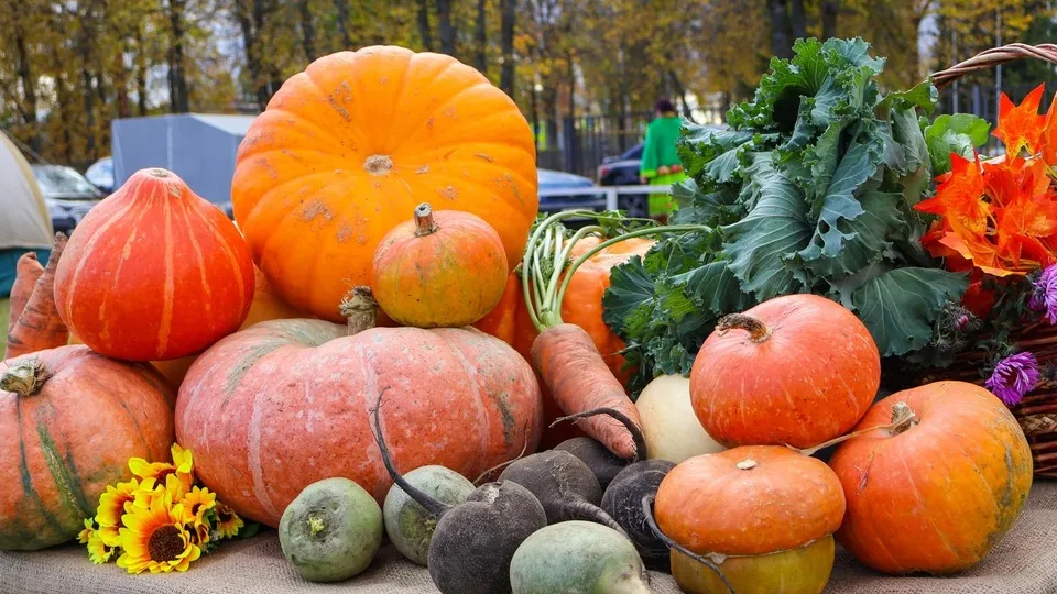 Фото: пресс-служба администрации муниципального округа Егорьевск