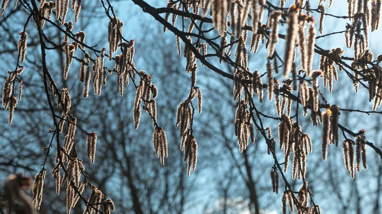 медиасток.рф